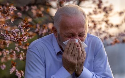 Allergies saisonnières : comment bien s’en prémunir ?